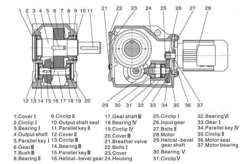 K-serien retvinklet spiralformet gearmotor strukturtegning