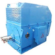 Y, YKS, YKK Series 6kV (H355~630) Medium-size High Voltage Motor